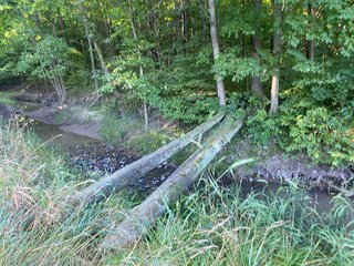Property photo 25 - REAL ESTATE AUCTION - 40+/-ACRES OFFERED IN 3 TRACTS IN WILLIAMS COUNTY, OHIO