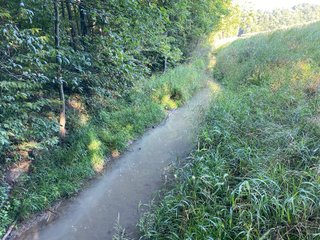 Property photo 26 - REAL ESTATE AUCTION - 40+/-ACRES OFFERED IN 3 TRACTS IN WILLIAMS COUNTY, OHIO