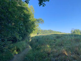 Property photo 29 - REAL ESTATE AUCTION - 40+/-ACRES OFFERED IN 3 TRACTS IN WILLIAMS COUNTY, OHIO