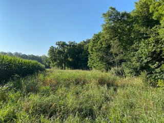Property photo 31 - REAL ESTATE AUCTION - 40+/-ACRES OFFERED IN 3 TRACTS IN WILLIAMS COUNTY, OHIO