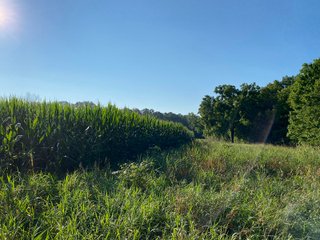 Property photo 32 - REAL ESTATE AUCTION - 40+/-ACRES OFFERED IN 3 TRACTS IN WILLIAMS COUNTY, OHIO