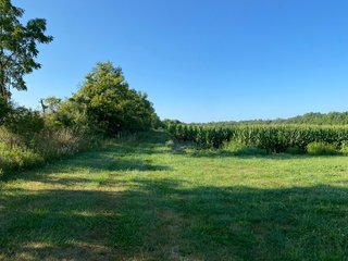Property photo 37 - REAL ESTATE AUCTION - 40+/-ACRES OFFERED IN 3 TRACTS IN WILLIAMS COUNTY, OHIO