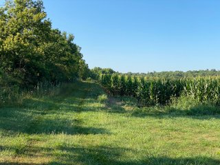 Property photo 36 - REAL ESTATE AUCTION - 40+/-ACRES OFFERED IN 3 TRACTS IN WILLIAMS COUNTY, OHIO