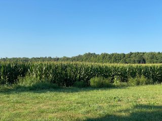 Property photo 35 - REAL ESTATE AUCTION - 40+/-ACRES OFFERED IN 3 TRACTS IN WILLIAMS COUNTY, OHIO