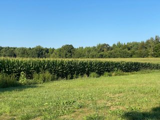 Property photo 34 - REAL ESTATE AUCTION - 40+/-ACRES OFFERED IN 3 TRACTS IN WILLIAMS COUNTY, OHIO