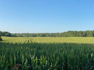 Property photo 33 - REAL ESTATE AUCTION - 40+/-ACRES OFFERED IN 3 TRACTS IN WILLIAMS COUNTY, OHIO