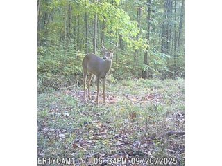 Property photo 51 - REAL ESTATE AUCTION - 40+/-ACRES OFFERED IN 3 TRACTS IN WILLIAMS COUNTY, OHIO