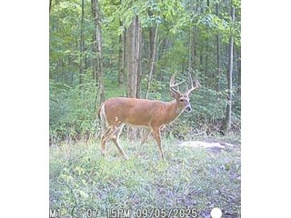 Property photo 52 - REAL ESTATE AUCTION - 40+/-ACRES OFFERED IN 3 TRACTS IN WILLIAMS COUNTY, OHIO