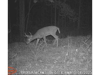 Property photo 53 - REAL ESTATE AUCTION - 40+/-ACRES OFFERED IN 3 TRACTS IN WILLIAMS COUNTY, OHIO