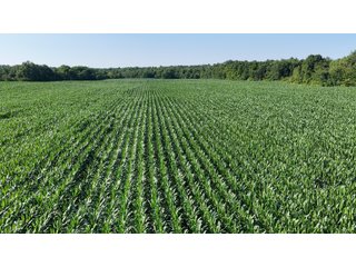Property photo 3 - REAL ESTATE AUCTION - 40+/-ACRES OFFERED IN 3 TRACTS IN WILLIAMS COUNTY, OHIO