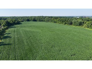 Property photo 2 - REAL ESTATE AUCTION - 40+/-ACRES OFFERED IN 3 TRACTS IN WILLIAMS COUNTY, OHIO
