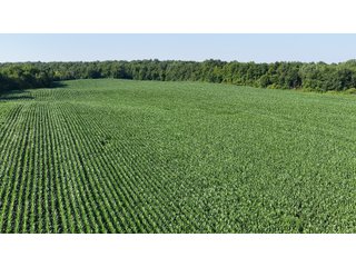 Property photo 5 - REAL ESTATE AUCTION - 40+/-ACRES OFFERED IN 3 TRACTS IN WILLIAMS COUNTY, OHIO