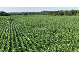 Property photo 6 - REAL ESTATE AUCTION - 40+/-ACRES OFFERED IN 3 TRACTS IN WILLIAMS COUNTY, OHIO