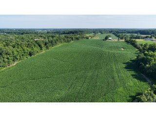Property photo 8 - REAL ESTATE AUCTION - 40+/-ACRES OFFERED IN 3 TRACTS IN WILLIAMS COUNTY, OHIO