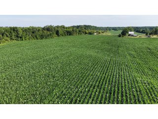 Property photo 9 - REAL ESTATE AUCTION - 40+/-ACRES OFFERED IN 3 TRACTS IN WILLIAMS COUNTY, OHIO