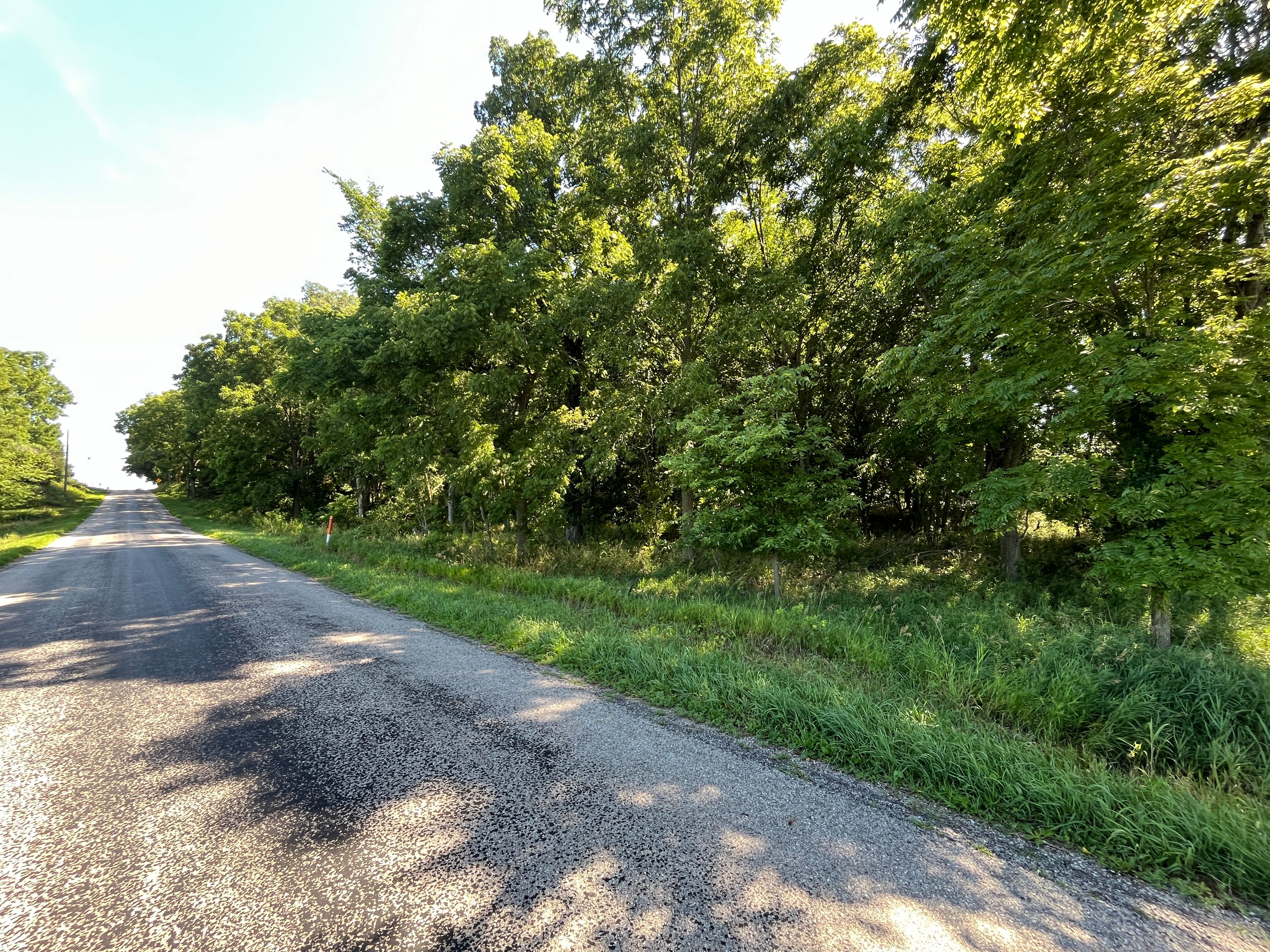 Property photo 43 - QUALITY LAND AUCTION - 219.75+/-ACRES OFFERED IN 7 TRACTS IN NOBLE COUNTY, INDIANA