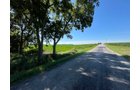 Property photo 49 - QUALITY LAND AUCTION - 219.75+/-ACRES OFFERED IN 7 TRACTS IN NOBLE COUNTY, INDIANA