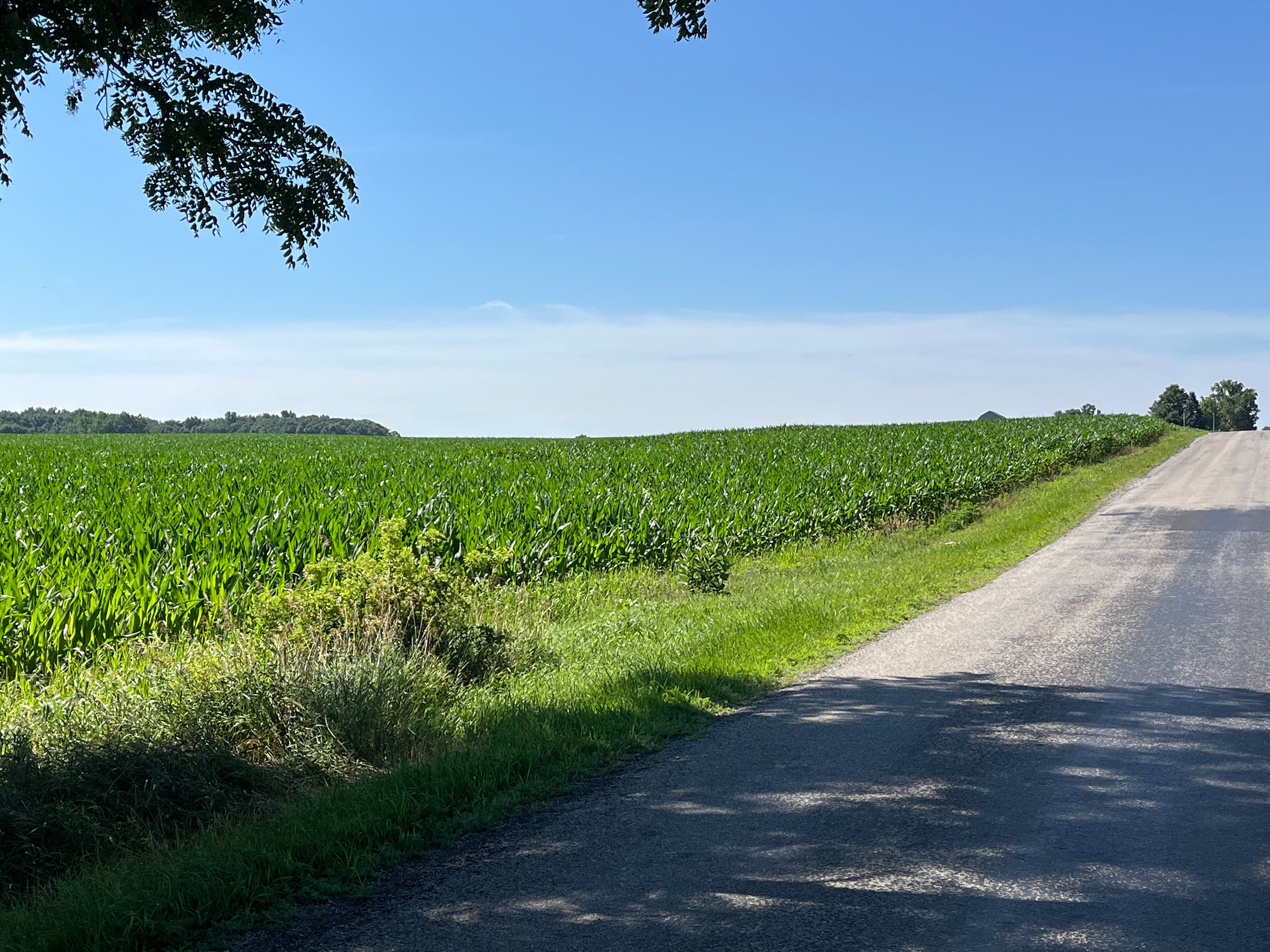 Property photo 50 - QUALITY LAND AUCTION - 219.75+/-ACRES OFFERED IN 7 TRACTS IN NOBLE COUNTY, INDIANA