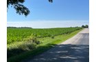 Property photo 50 - QUALITY LAND AUCTION - 219.75+/-ACRES OFFERED IN 7 TRACTS IN NOBLE COUNTY, INDIANA