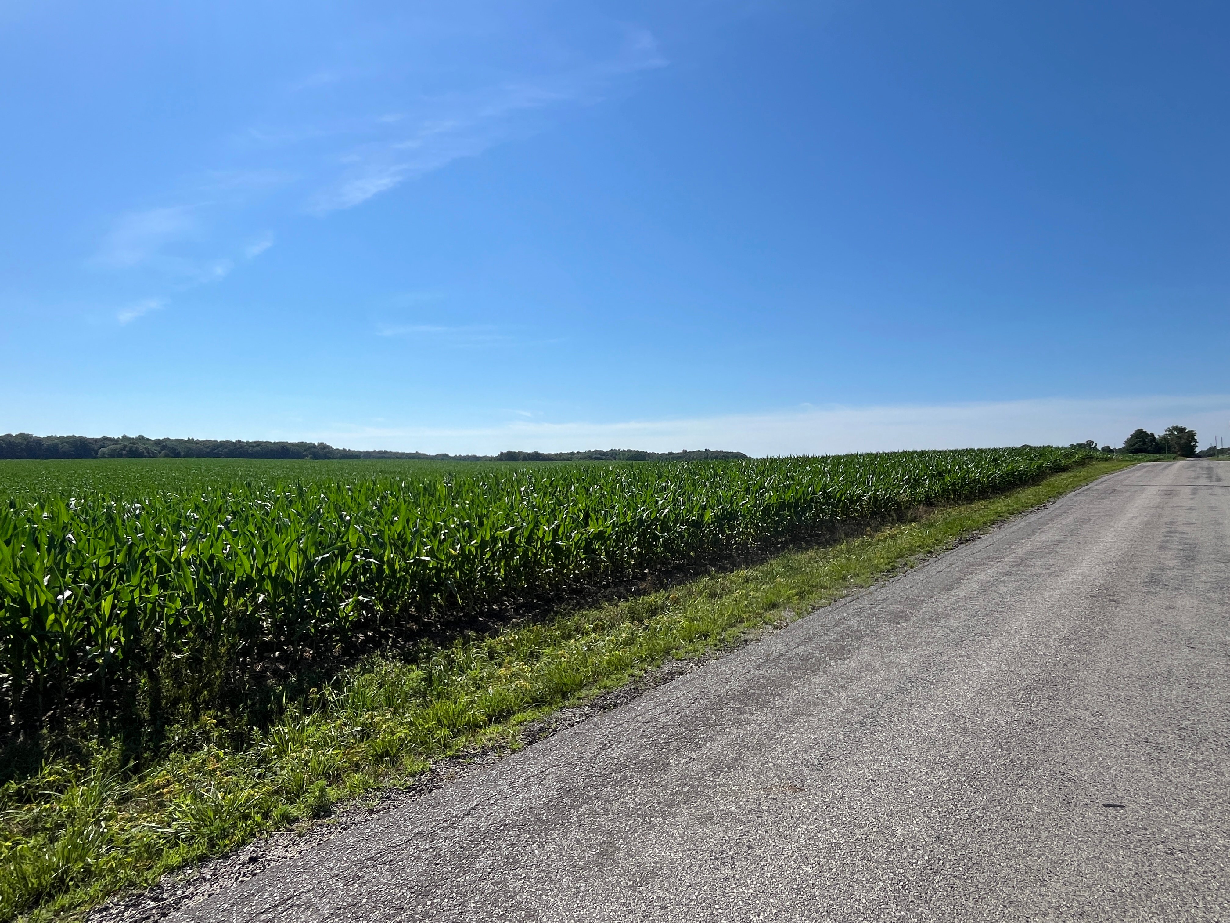Property photo 51 - QUALITY LAND AUCTION - 219.75+/-ACRES OFFERED IN 7 TRACTS IN NOBLE COUNTY, INDIANA