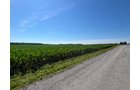 Property photo 51 - QUALITY LAND AUCTION - 219.75+/-ACRES OFFERED IN 7 TRACTS IN NOBLE COUNTY, INDIANA