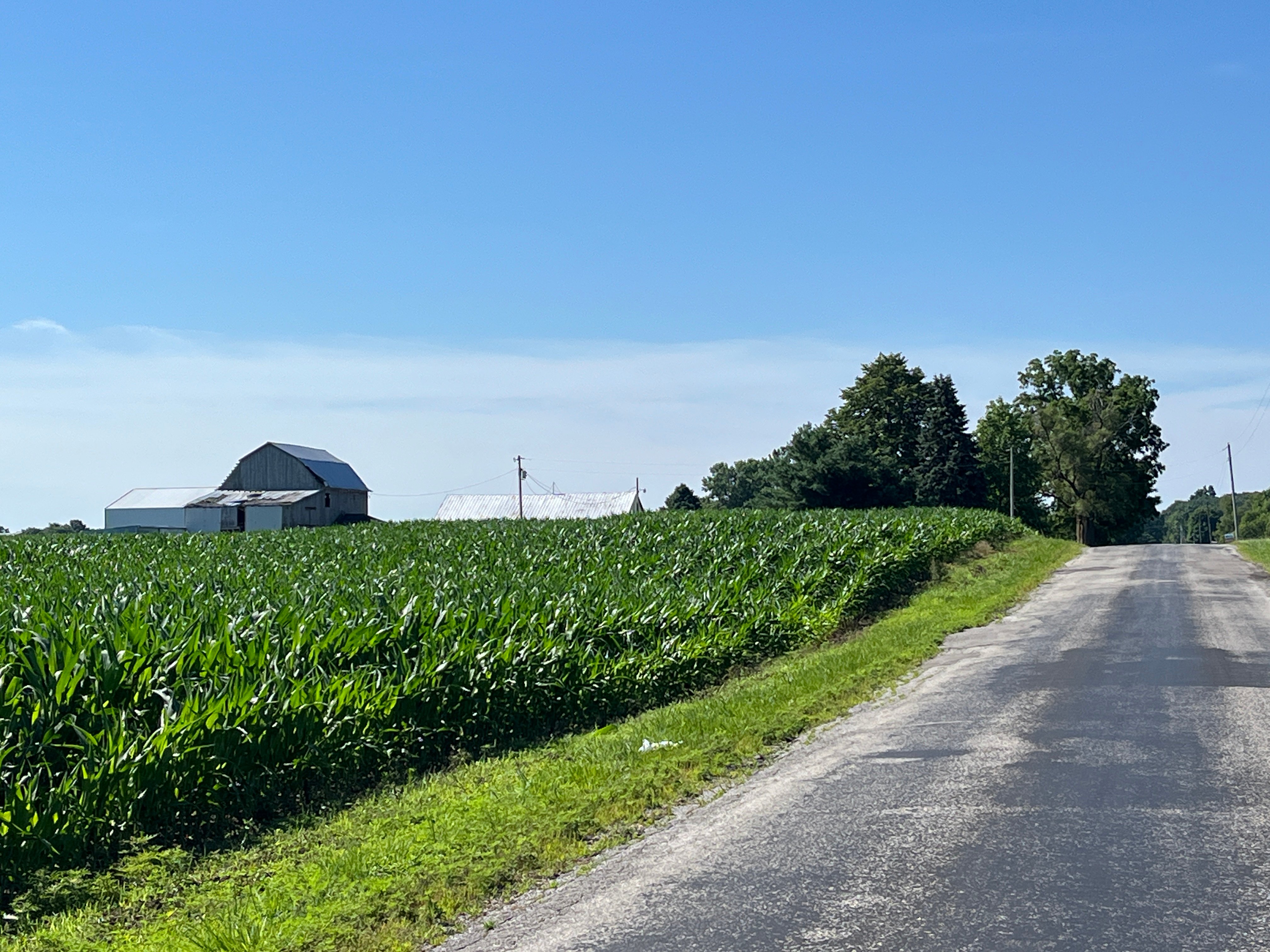Property photo 52 - QUALITY LAND AUCTION - 219.75+/-ACRES OFFERED IN 7 TRACTS IN NOBLE COUNTY, INDIANA