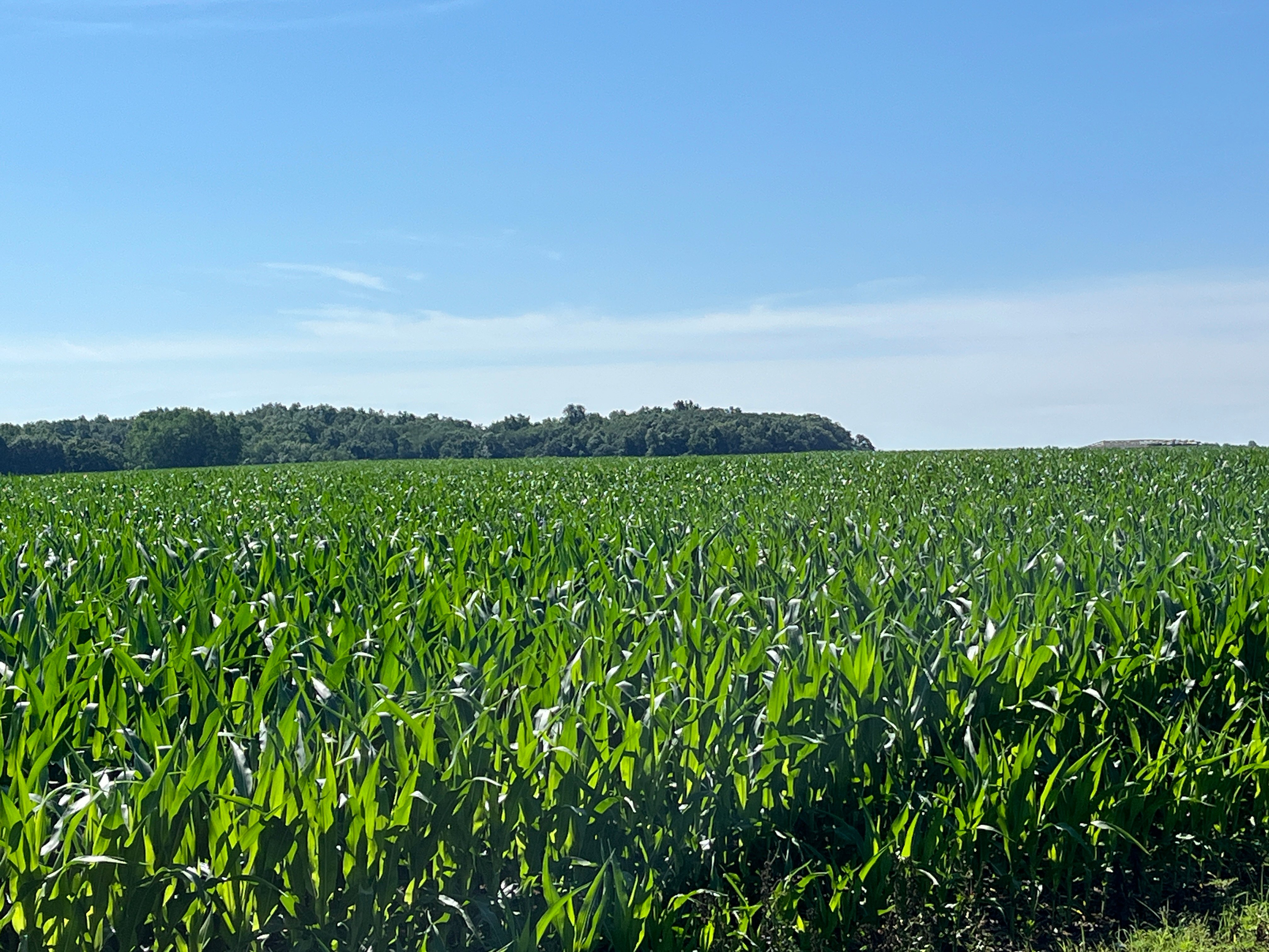 Property photo 53 - QUALITY LAND AUCTION - 219.75+/-ACRES OFFERED IN 7 TRACTS IN NOBLE COUNTY, INDIANA