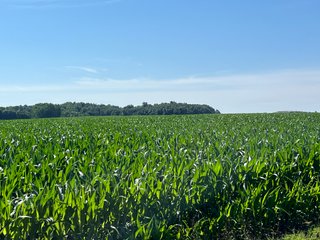Property photo 42 - QUALITY LAND AUCTION - 219.75+/-ACRES OFFERED IN 7 TRACTS IN NOBLE COUNTY, INDIANA
