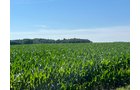 Property photo 53 - QUALITY LAND AUCTION - 219.75+/-ACRES OFFERED IN 7 TRACTS IN NOBLE COUNTY, INDIANA