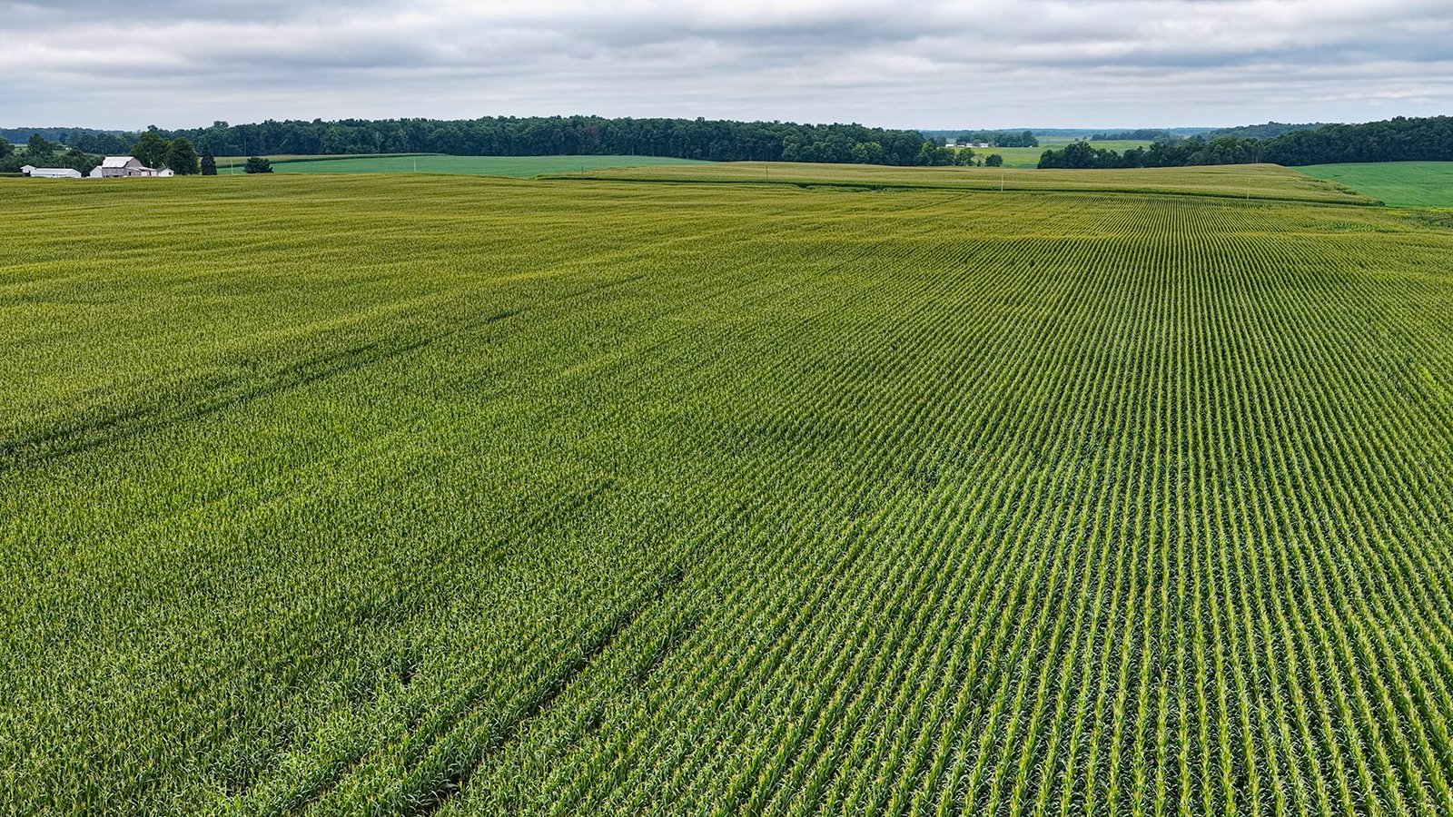 Property photo 21 - QUALITY LAND AUCTION - 219.75+/-ACRES OFFERED IN 7 TRACTS IN NOBLE COUNTY, INDIANA