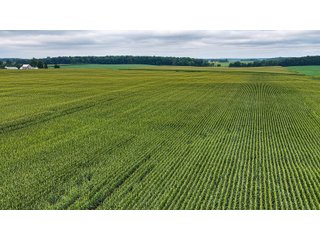 Property photo 21 - QUALITY LAND AUCTION - 219.75+/-ACRES OFFERED IN 7 TRACTS IN NOBLE COUNTY, INDIANA