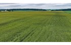 Property photo 21 - QUALITY LAND AUCTION - 219.75+/-ACRES OFFERED IN 7 TRACTS IN NOBLE COUNTY, INDIANA