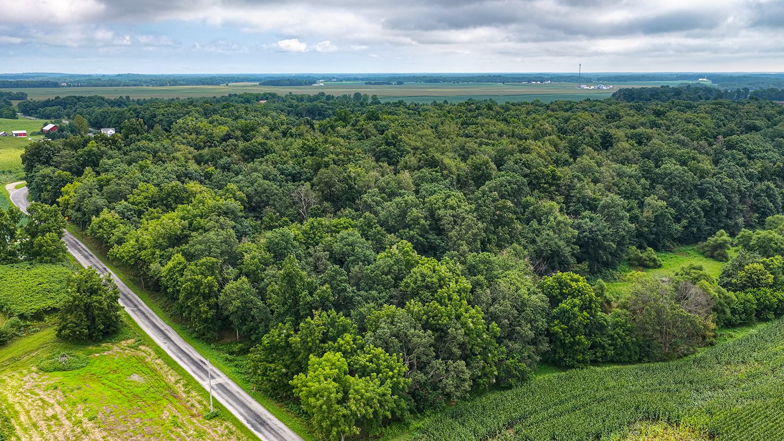 Property photo 9 - QUALITY LAND AUCTION - 219.75+/-ACRES OFFERED IN 7 TRACTS IN NOBLE COUNTY, INDIANA
