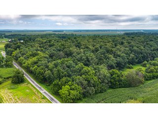 Property photo 9 - QUALITY LAND AUCTION - 219.75+/-ACRES OFFERED IN 7 TRACTS IN NOBLE COUNTY, INDIANA