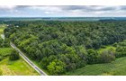 Property photo 9 - QUALITY LAND AUCTION - 219.75+/-ACRES OFFERED IN 7 TRACTS IN NOBLE COUNTY, INDIANA