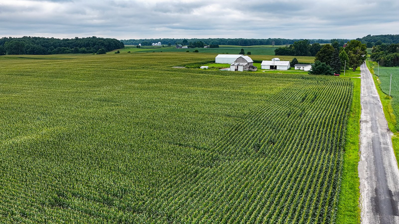 Property photo 20 - QUALITY LAND AUCTION - 219.75+/-ACRES OFFERED IN 7 TRACTS IN NOBLE COUNTY, INDIANA