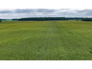 Property photo 19 - QUALITY LAND AUCTION - 219.75+/-ACRES OFFERED IN 7 TRACTS IN NOBLE COUNTY, INDIANA