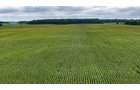 Property photo 19 - QUALITY LAND AUCTION - 219.75+/-ACRES OFFERED IN 7 TRACTS IN NOBLE COUNTY, INDIANA