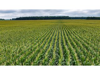 Property photo 18 - QUALITY LAND AUCTION - 219.75+/-ACRES OFFERED IN 7 TRACTS IN NOBLE COUNTY, INDIANA