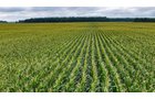 Property photo 18 - QUALITY LAND AUCTION - 219.75+/-ACRES OFFERED IN 7 TRACTS IN NOBLE COUNTY, INDIANA