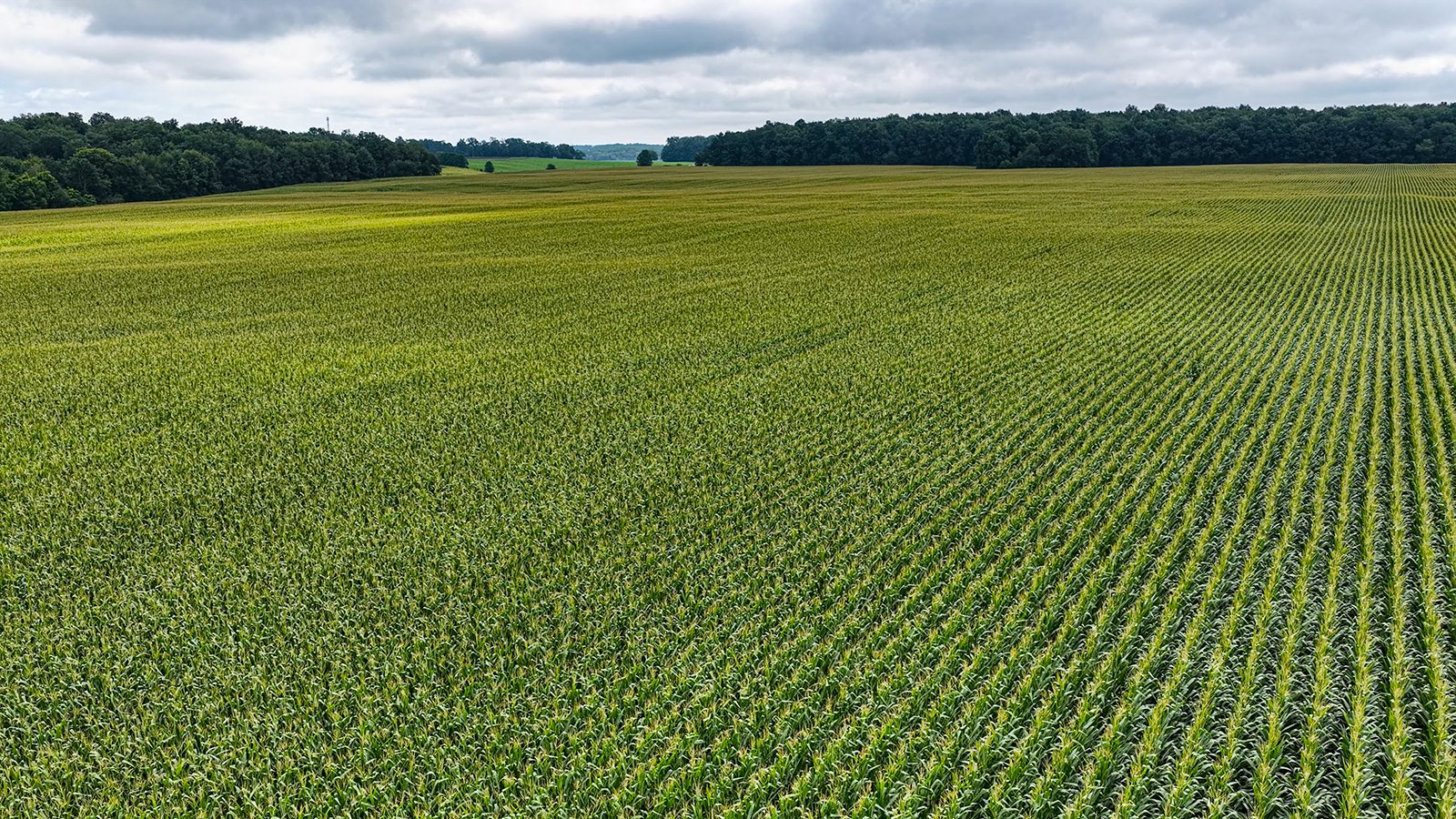 Property photo 17 - QUALITY LAND AUCTION - 219.75+/-ACRES OFFERED IN 7 TRACTS IN NOBLE COUNTY, INDIANA