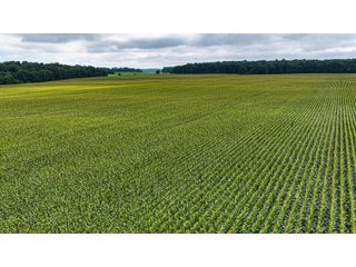Property photo 17 - QUALITY LAND AUCTION - 219.75+/-ACRES OFFERED IN 7 TRACTS IN NOBLE COUNTY, INDIANA