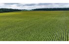 Property photo 17 - QUALITY LAND AUCTION - 219.75+/-ACRES OFFERED IN 7 TRACTS IN NOBLE COUNTY, INDIANA