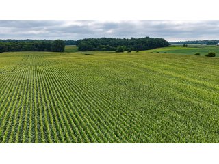 Property photo 16 - QUALITY LAND AUCTION - 219.75+/-ACRES OFFERED IN 7 TRACTS IN NOBLE COUNTY, INDIANA