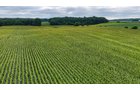 Property photo 16 - QUALITY LAND AUCTION - 219.75+/-ACRES OFFERED IN 7 TRACTS IN NOBLE COUNTY, INDIANA