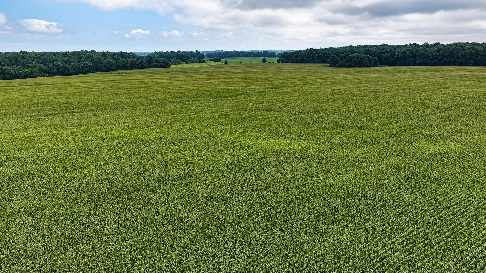Property photo 15 - QUALITY LAND AUCTION - 219.75+/-ACRES OFFERED IN 7 TRACTS IN NOBLE COUNTY, INDIANA