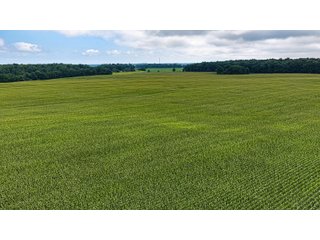 Property photo 14 - QUALITY LAND AUCTION - 219.75+/-ACRES OFFERED IN 7 TRACTS IN NOBLE COUNTY, INDIANA