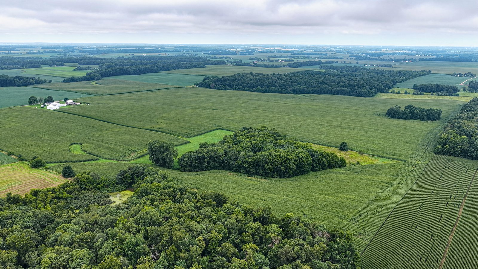 Property photo 4 - QUALITY LAND AUCTION - 219.75+/-ACRES OFFERED IN 7 TRACTS IN NOBLE COUNTY, INDIANA