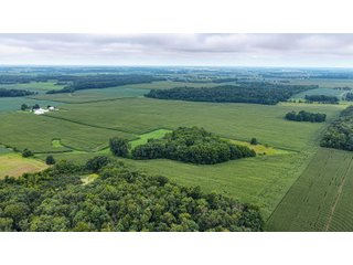 Property photo 4 - QUALITY LAND AUCTION - 219.75+/-ACRES OFFERED IN 7 TRACTS IN NOBLE COUNTY, INDIANA