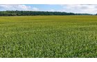 Property photo 13 - QUALITY LAND AUCTION - 219.75+/-ACRES OFFERED IN 7 TRACTS IN NOBLE COUNTY, INDIANA